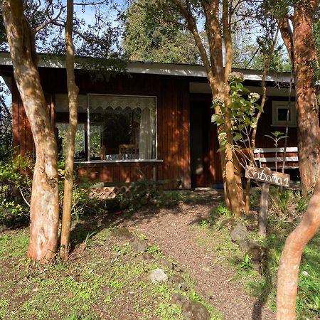 Cabanas El Bosque Patagonico 프루티야르 외부 사진