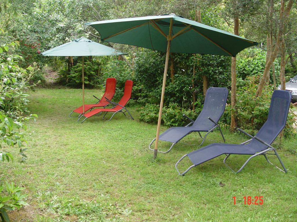 Cabanas El Bosque Patagonico 프루티야르 객실 사진