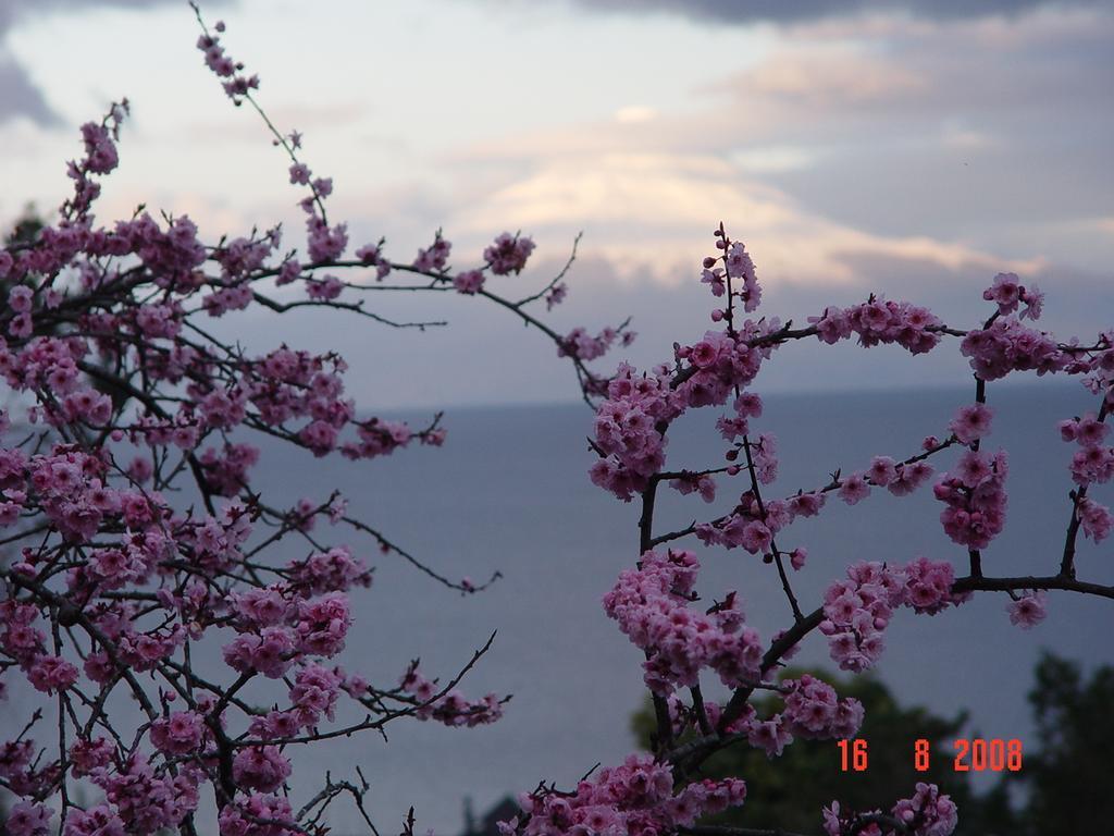 Cabanas El Bosque Patagonico 프루티야르 객실 사진