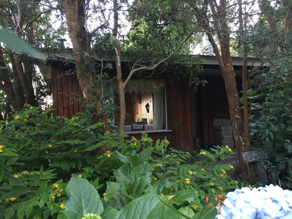 Cabanas El Bosque Patagonico 프루티야르 외부 사진